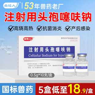 头孢噻呋钠注射兽用母猪用牛羊针剂消炎鱼腥草注射液正品兽药