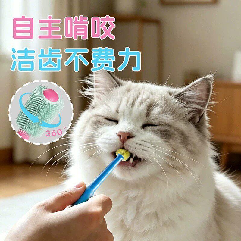宠物牙刷牙膏猫咪刷牙专用可食用狗狗口腔牙齿清结套装
