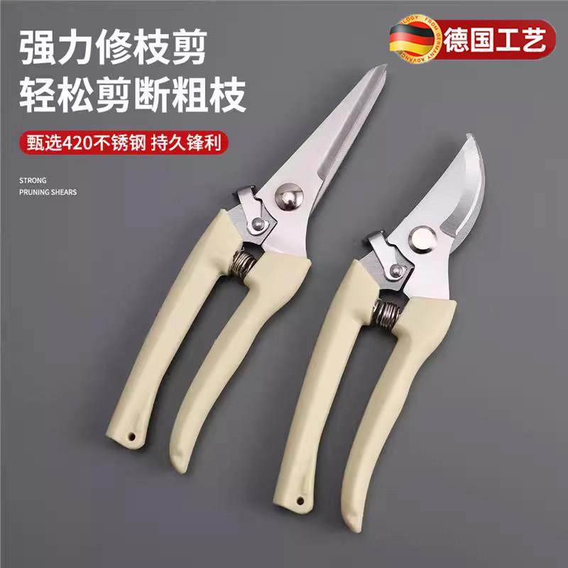 德国不锈钢树枝修枝剪采摘水果剪园林果树花卉枝嫁接园艺剪刀工具