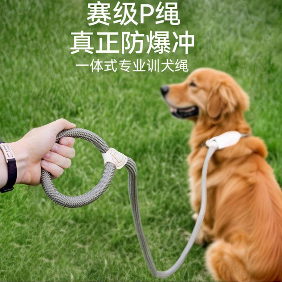 狗狗牵引绳耐磨狗绳子P绳防爆冲高弹力尼龙拴狗绳中大型犬狗炼子