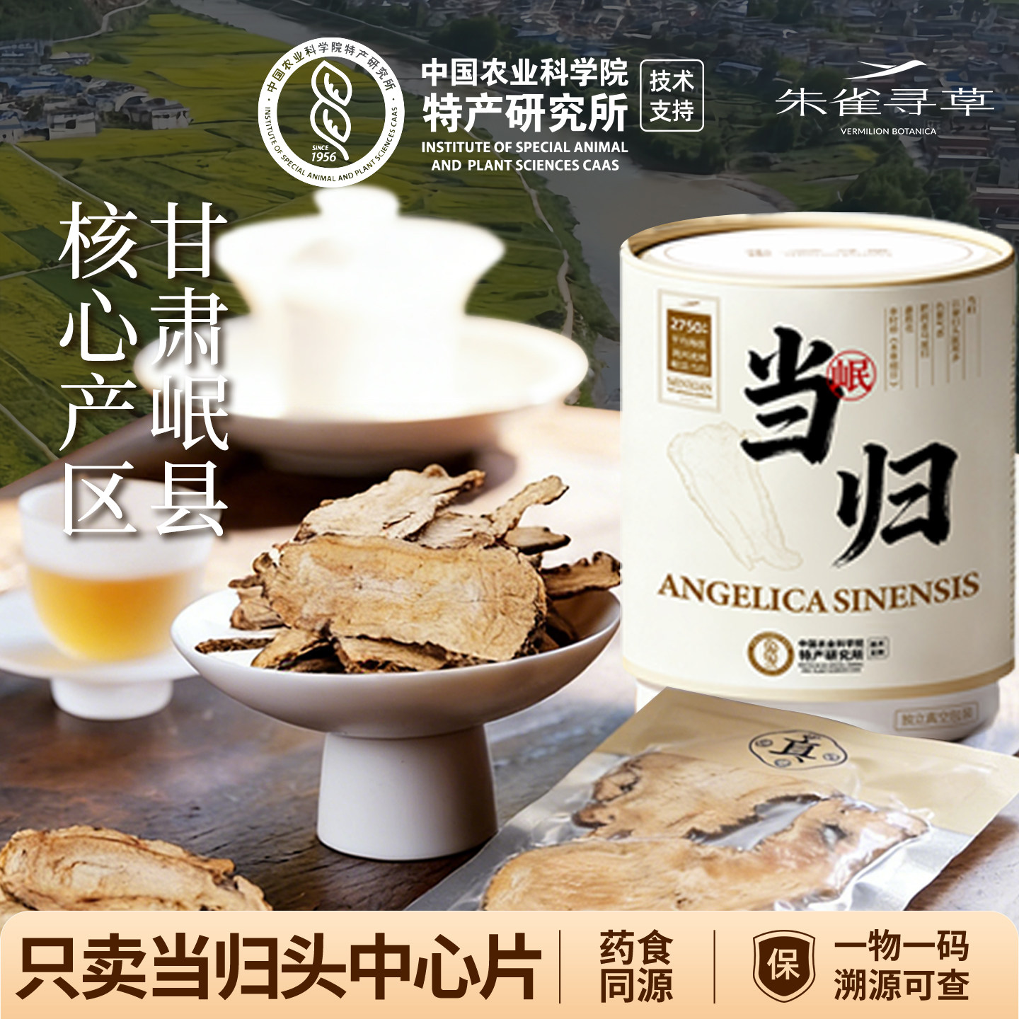 朱雀寻草当归甘肃岷县头中心片大片纯天然无硫熏独立真空小包装