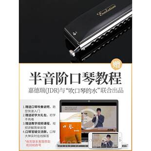 正品JDR嘉德瑞EVO-0648S专半阶初学入门士业口琴成人民谣流音行爵