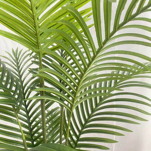 植物葵树盆栽家居客厅室内落地大型绿植橱窗商场装饰假树
