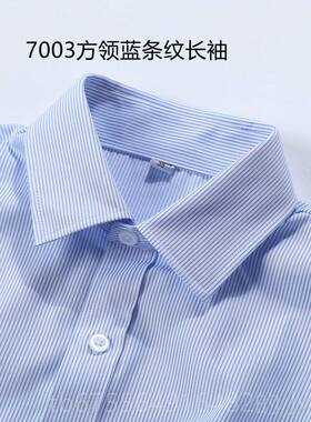 正品女士短袖白蓝色细底条纹工装衬衫银领行职员V纹条衬衣大码工