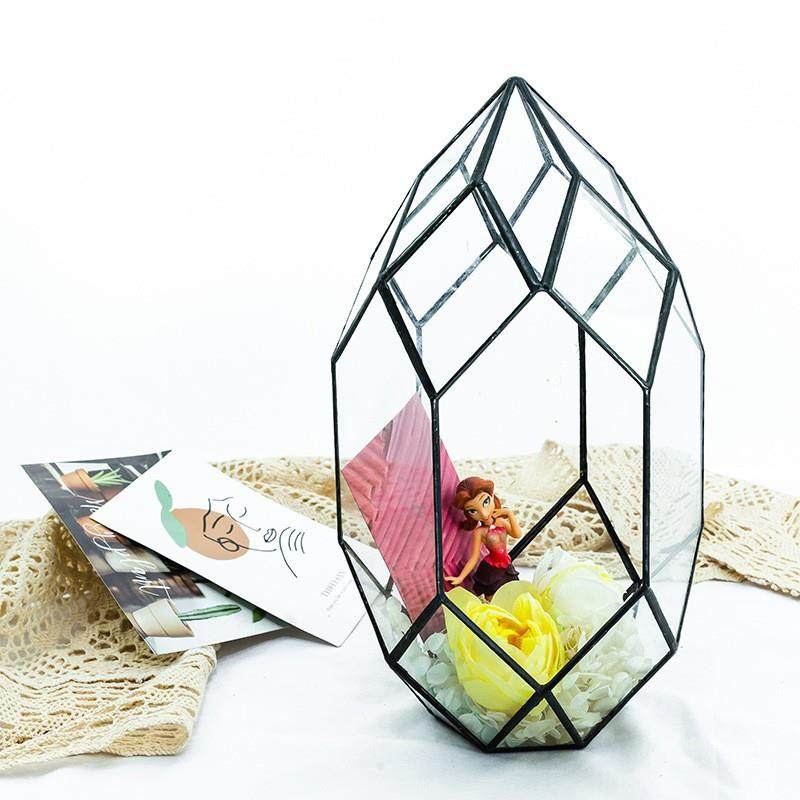 多肉植物 苔藓微景观 立体几何 玻璃 花房 器皿 花器 生态瓶