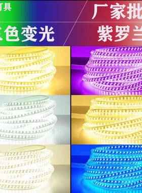 压L客E灯带-573D灯带5730单高家用双排户外防水厅装修白光暖光蓝