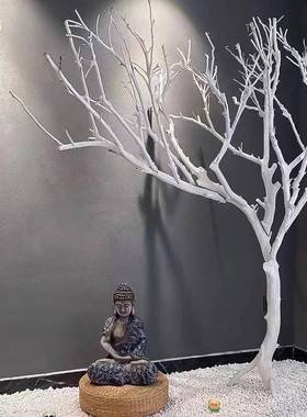 干枯树枝tj#lofgy造景枝树树干装饰枯枝白色树装饰树枝干树枝枯树