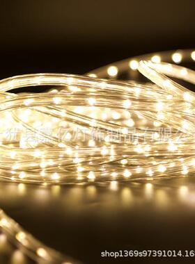 LED圣诞节装软饰子灯日户外防水灯带220V高压铜线XTO管灯