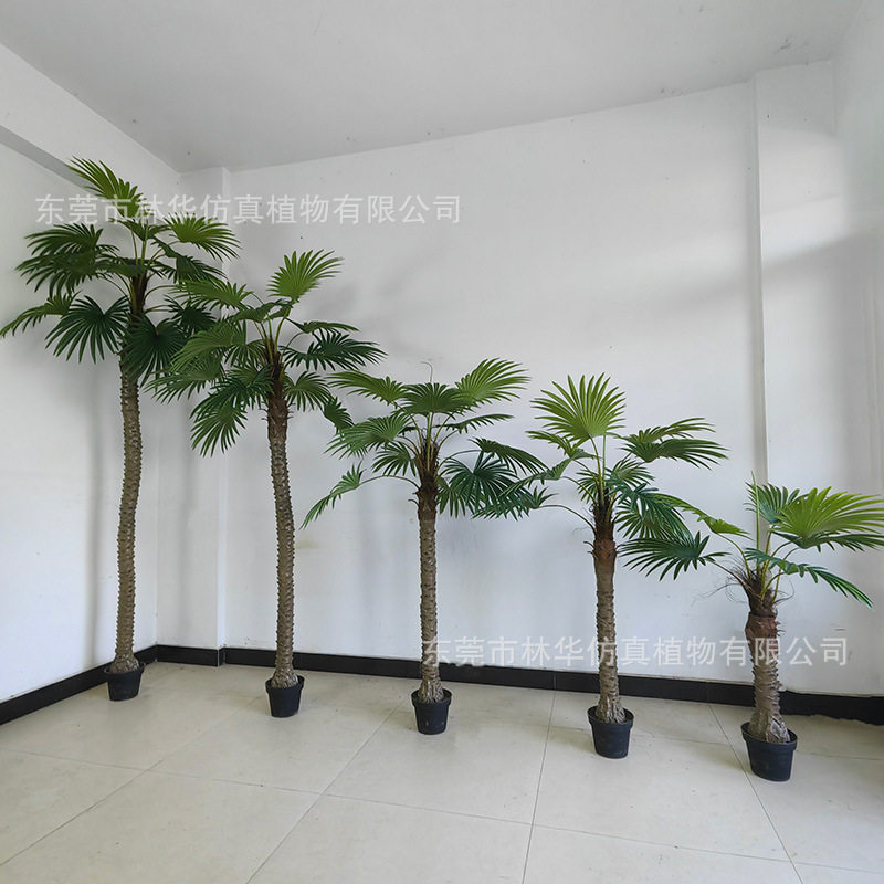 仿真小棕榈树热带绿植仿真葵树室内装饰造景树盆栽仿真小棕葵盆景