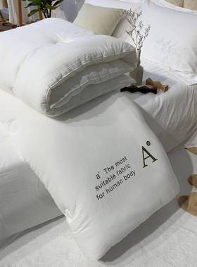 A类母婴级原棉大保豆纤维纯春秋被BS0036A子暖全被棉冬棉被被芯