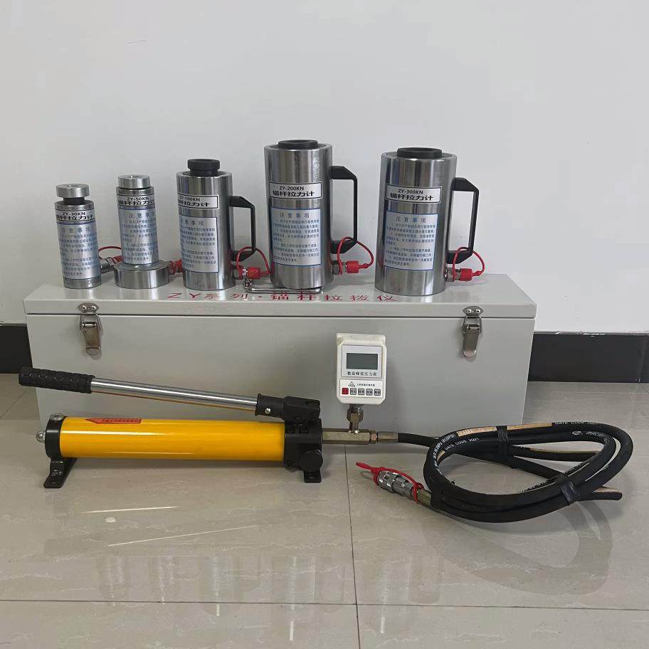 数显指针10/20T/拔30T/50吨锚GSZ杆拉仪钢圆锚栓钢筋锚杆T拉力计,鲜花速递/花卉仿真/绿植园艺,其它园艺用品,淘宝优惠券,粉丝福利购,淘宝优惠卷