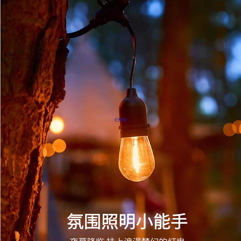 户外高亮串庭防水灯泡彩灯露营灯氛灯节日串灯院MUX装饰围灯挂灯