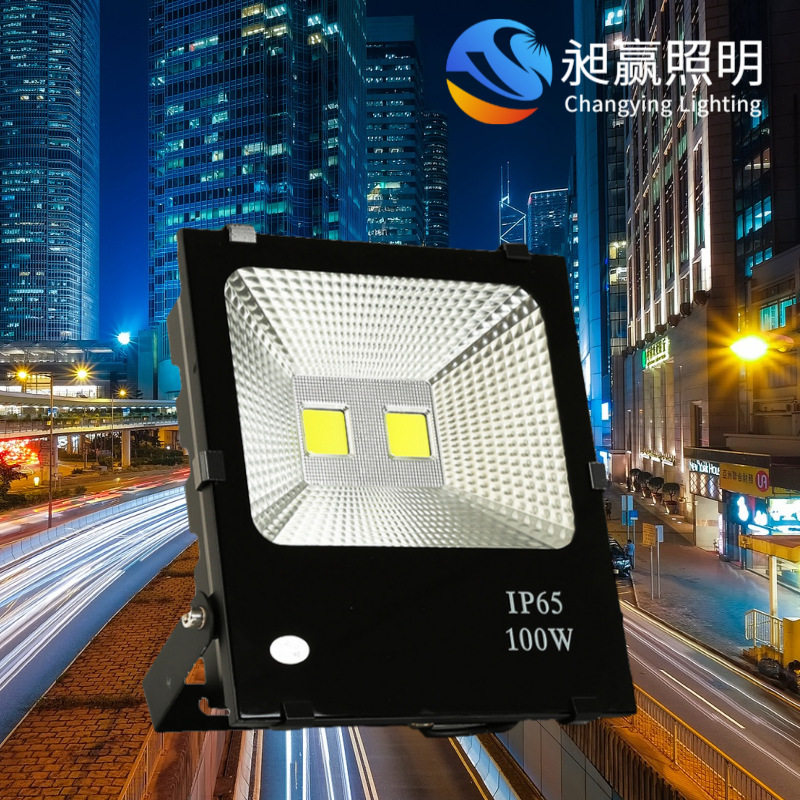 户外防水防雷36V低压投光灯