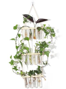 挂壁绿植装饰品悬挂式木架试管玻璃花瓶水培植物容器创意家居