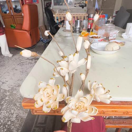 植物通草花手工花莲花花束 大花点金工艺
