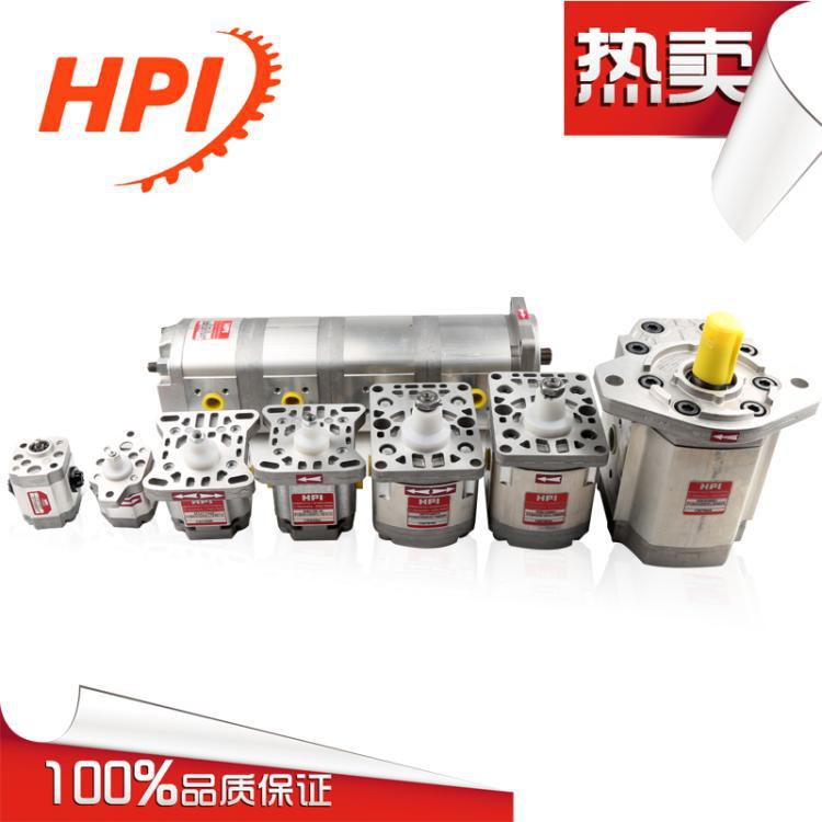 法国HPI油泵P1BAN2026BL10B02N齿轮泵/电机 原装进口图片