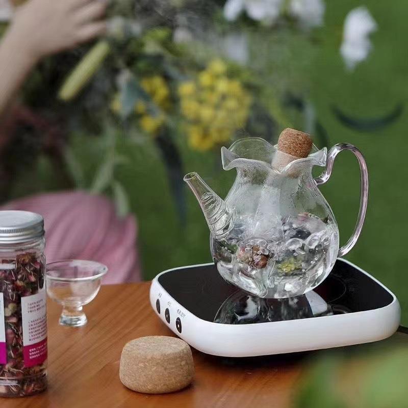 花口玻璃执壶木塞试管泡茶器耐热普洱白茶煮茶壶创意围炉煮茶茶礼