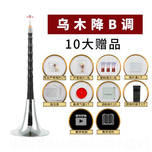 新款新艺号演奏专业乌木唢呐乐全套d调D调初学器入门小喇者叭哨片