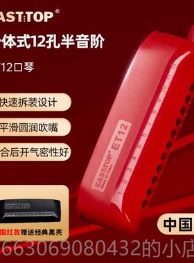 高档东学方鼎一体式12孔半音阶口c调ET12初学者成琴人练生习演奏