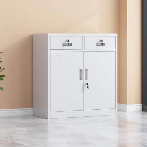 办公室二斗柜文件柜铁皮书柜收纳柜财务凭证档案资料带锁储物柜子