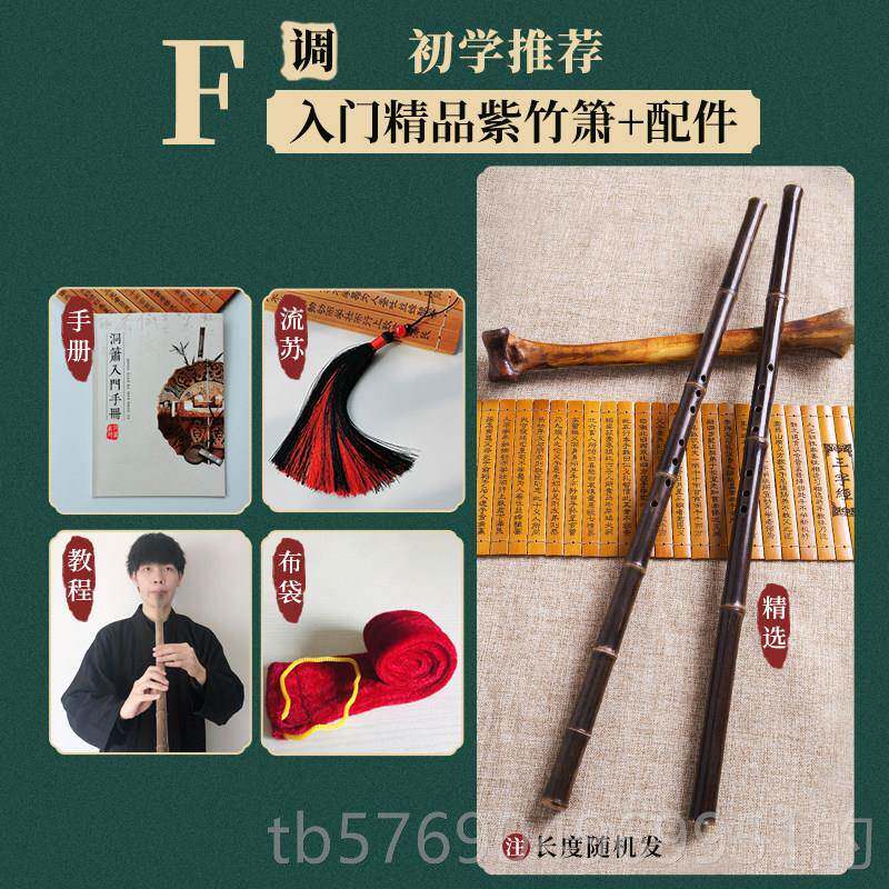 新款楚吟洞 紫竹箫零基础人初学专业高精制成一节箫八孔EFG民档族