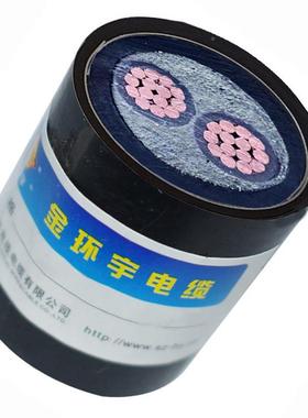 0.6/1K-V黑色铜芯交382联电线WZYJY23-2*70低烟D卤无金环宇电线