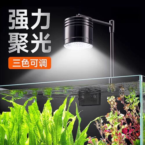 全光谱LED珊瑚灯海水缸水族藻缸筒灯爆藻定制30w大功率出苔灯