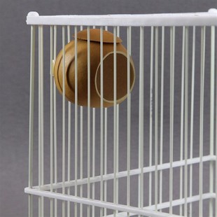 贝子山雀窝葫芦窝窝