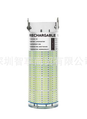 直销遇水水即亮l充ed无灯线电下诱鱼灯集鱼拖网ZX-C610夜钓灯水底
