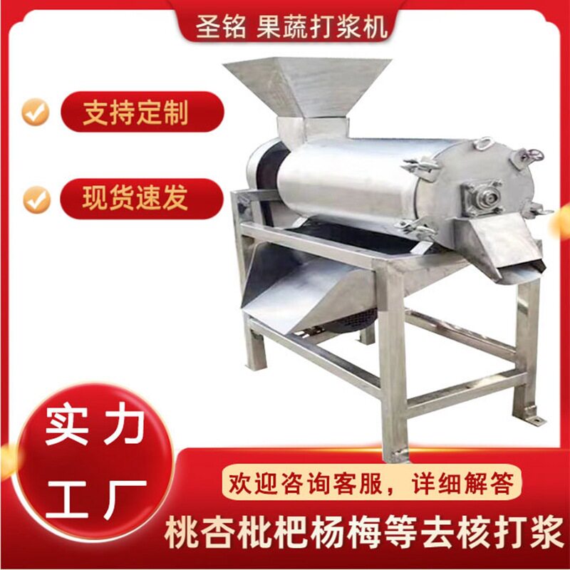 工业三相电水果去籽打浆机 桑果树莓去核打浆机 商用榴莲打浆机