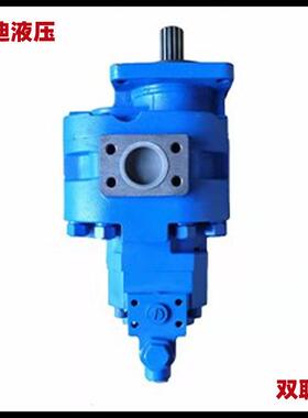 JHP31泵00/0010-XF双联齿轮临工968V装载机向2泵412HDN000251转9