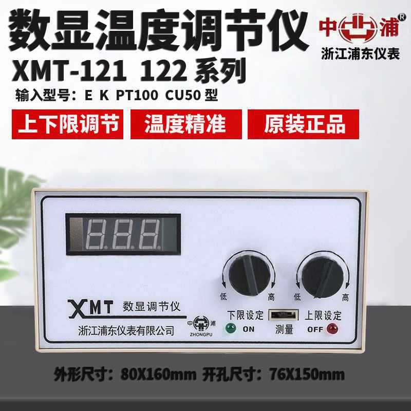 浦东仪表PT100数显温控仪
