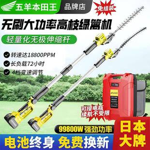 进口智能苗速电动高变枝修剪机加杆修长剪机NNS大功率木伸缩杆绿