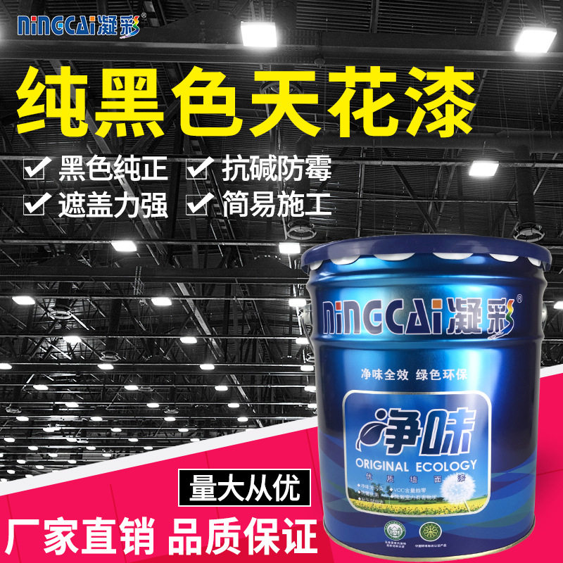 黑色净味内墙天花乳胶漆