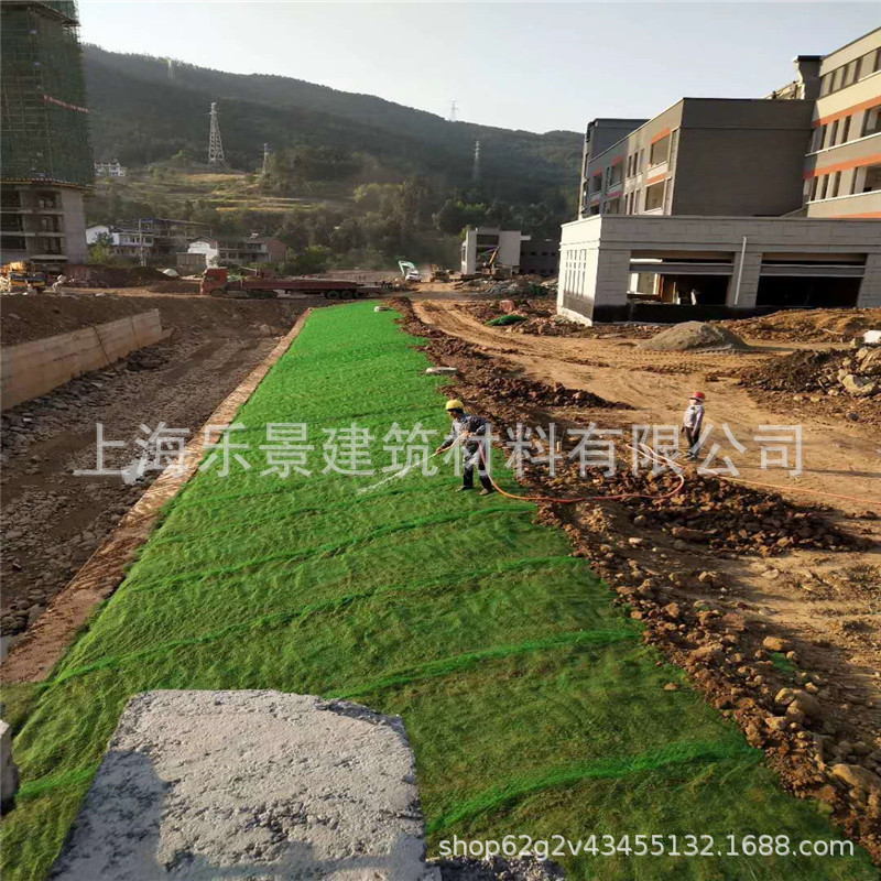 生态护坡三维植被网喷播植草