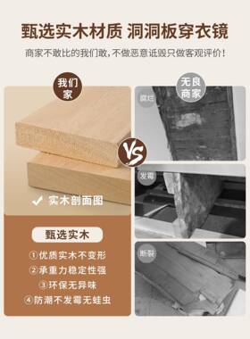 洞洞体板NTB穿衣镜一户门口女拉生卧室推入隐藏式实木可关闭的全