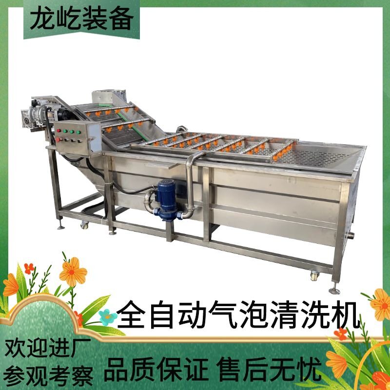黄桃果蔬气泡清洗机果蔬净