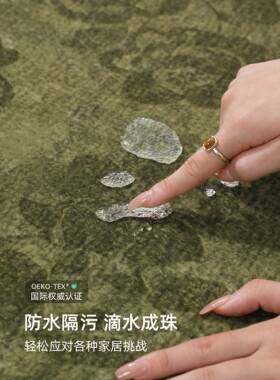 地毯客厅025新款绿FYR25729色法可式中古风地2铺垫复古房间大面积