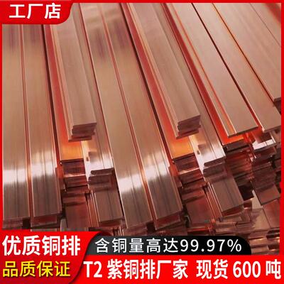 紫XFX铜生模具电产极铜条接地铜排扁T2镀锡铜排板铜棒红铜棒