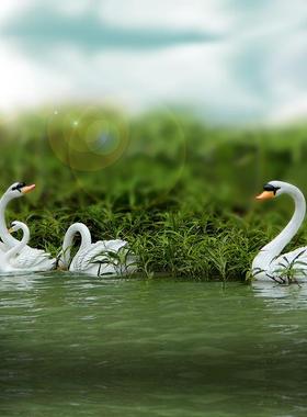 仿真浮水天鹅摆件花艺园庭白J-G5062院公园雕塑树脂工品假山水鱼