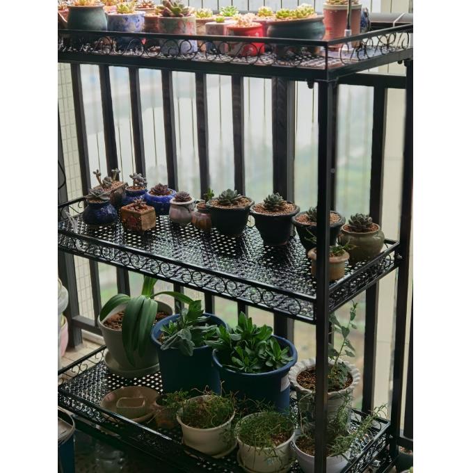 动铁牛层可ld002移带轮多肉花架阳台阳光房客厅落多花盆架子防地