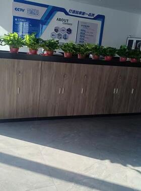 办公室遮花槽柜挡木柜子储物柜柜地柜矮隔柜柜RGQ子断柜绿植柜双