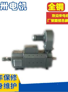 Z4流电机Z4-180-11Z4-180211Z4-80-22Z7854-18-0-31Z4直-180-41