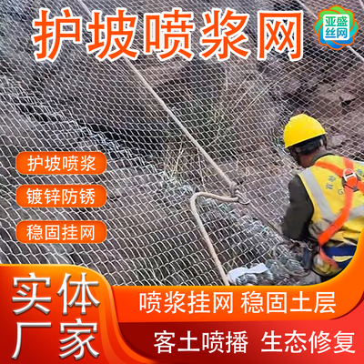 防锈边坡绿化铁丝网镀锌勾花网