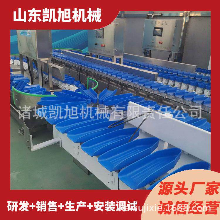 蛎牡分拣机贝自动称重分扇选水产机品大小EDT分级称重设备