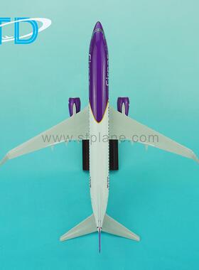 波音客机FirnaB737-800s航空模B737800仿真比例1/脂100树飞机-型
