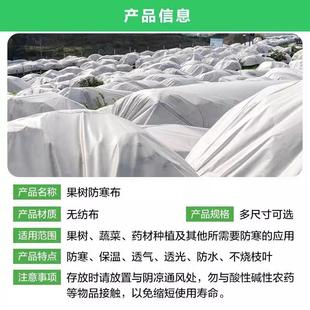 果树防寒布橘树沃柑4防3650霜布宽6.米透光防冻保温防子水柑橘防