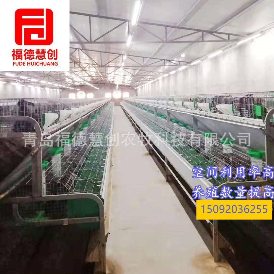 母兔舍肉兔养殖设备智式能欧双化层子JKL兔笼