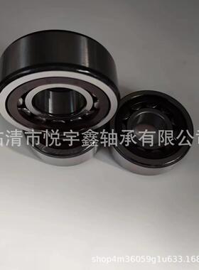 U2306MJU306MPNUNQSL206E3NU406M圆柱滚子轴承
