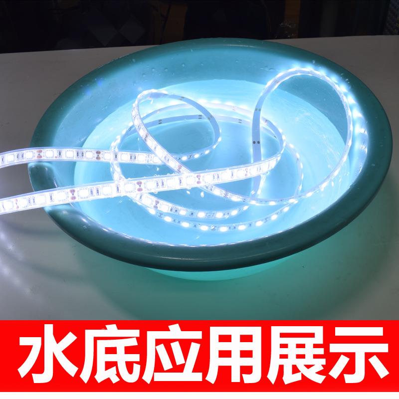 led灯带装125050套管灌V胶正白光贴软灯片条户外5050防水鱼缸饰灯